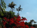 11_Somebodys_Driveway_1