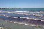 05_Red_Tide