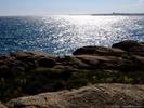 15_Sunlight_Sparkles